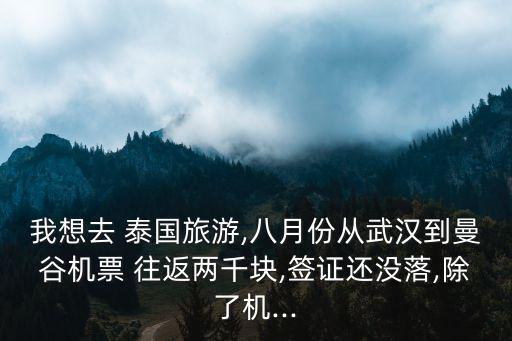 我想去 泰国旅游,八月份从武汉到曼谷机票 往返两千块,签证还没落,除了机...