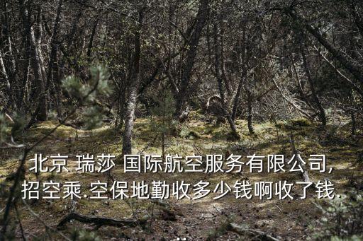 瑞莎国际