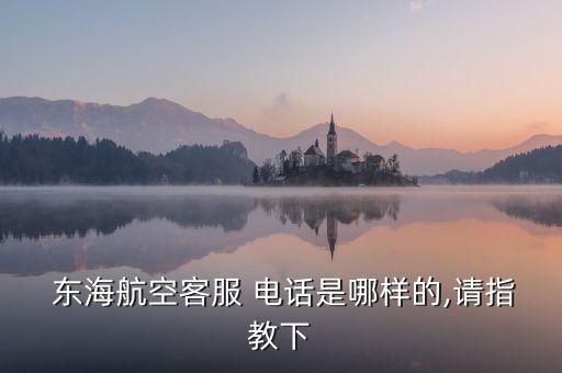  东海航空客服 电话是哪样的,请指教下