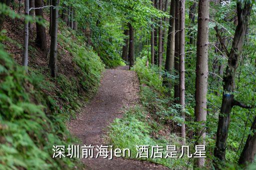  深圳前海jen 酒店是几星