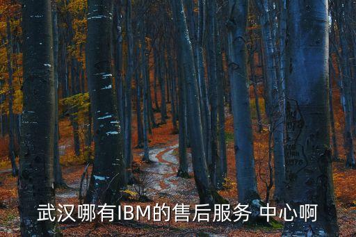 武汉哪有IBM的售后服务 中心啊