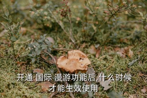  开通 国际 漫游功能后,什么时候才能生效使用