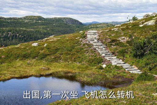 去国外坐飞机转乘,坐飞机转乘怎么转