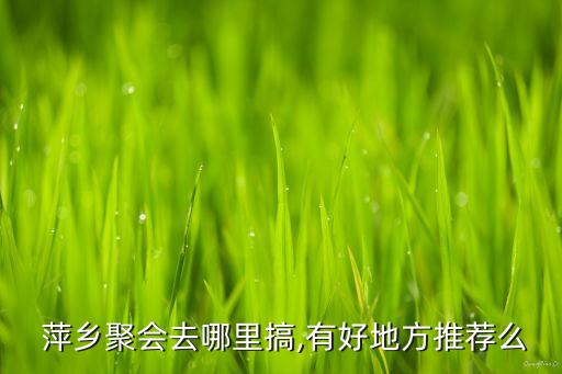  萍乡聚会去哪里搞,有好地方推荐么