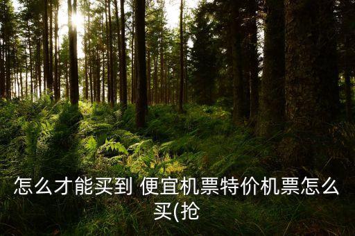 怎么才能买到 便宜机票特价机票怎么买(抢