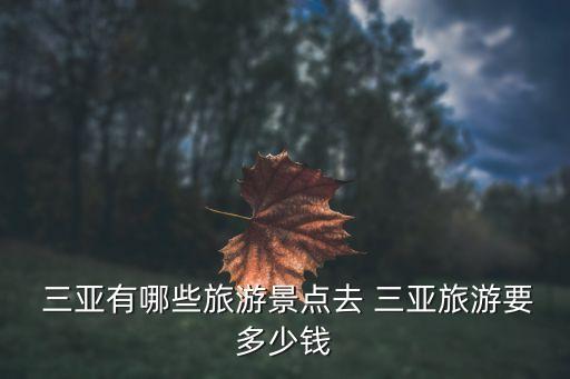  三亚有哪些旅游景点去 三亚旅游要多少钱