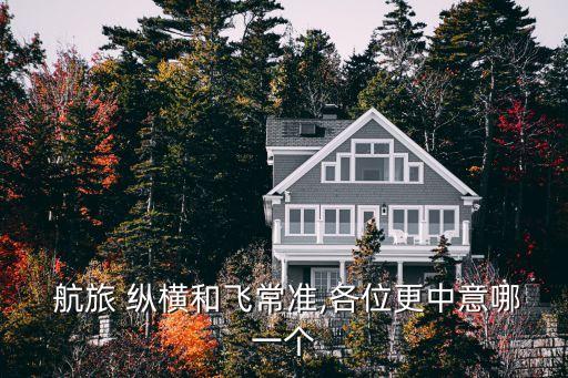 航旅纵横可以国外