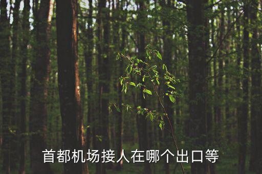 首都机场接人在哪个出口等