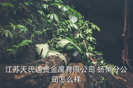 江苏天氏通贵金属有限公司 扬州分公司怎么样