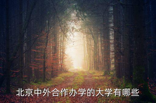 北京中外合作办学的大学有哪些