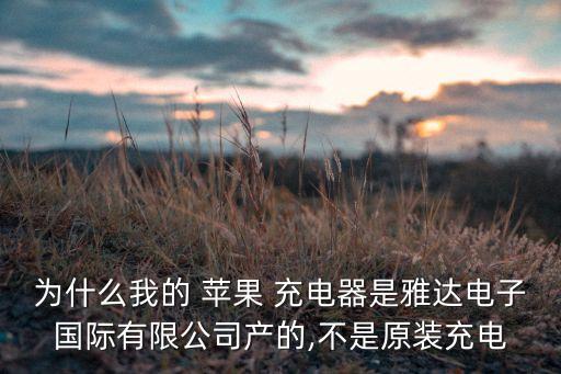 苹果国外充电器,苹果14充电器接口