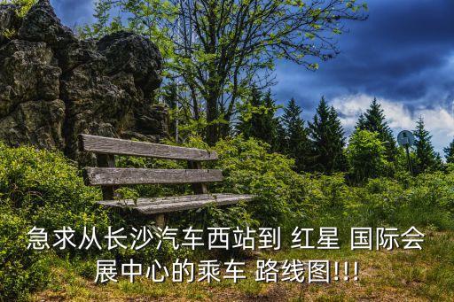 急求从长沙汽车西站到 红星 国际会展中心的乘车 路线图!!!