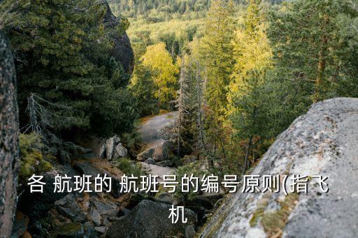 各 航班的 航班号的编号原则(指飞机