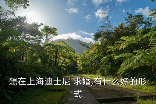 想在上海迪士尼 求婚,有什么好的形式