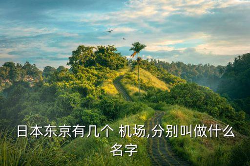 日本东京有几个 机场,分别叫做什么名字