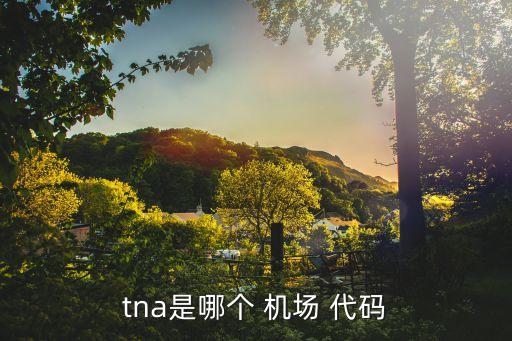 tna是哪个 机场 代码