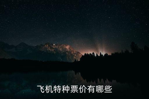 飞机特种票价有哪些