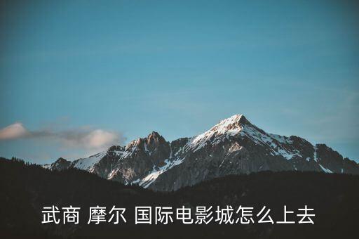 武商 摩尔 国际电影城怎么上去
