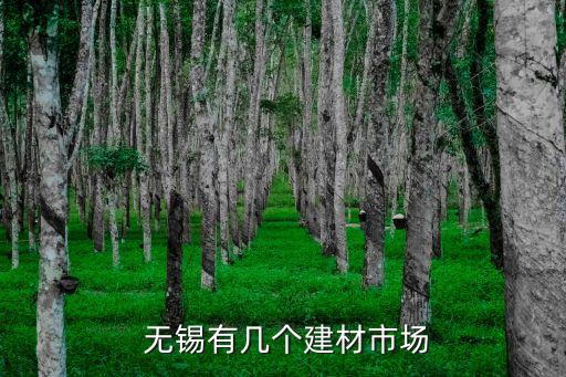 无锡国际招商城地图
