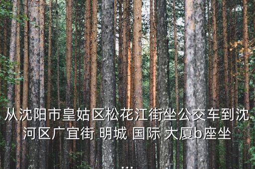 长沙明城国际大厦,大东区明城国际大厦