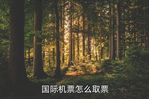 登机牌 纸质 携程 国际