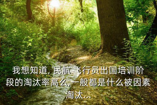 民航飞行员课程国外,国外民航飞行员工资高吗