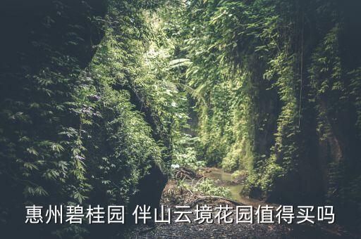 惠州碧桂园 伴山云境花园值得买吗