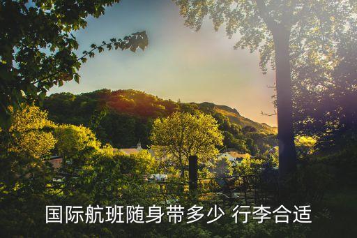 飞国外行李重量