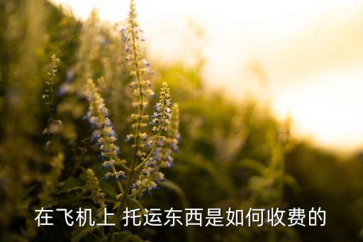 国际航班办理托运费用