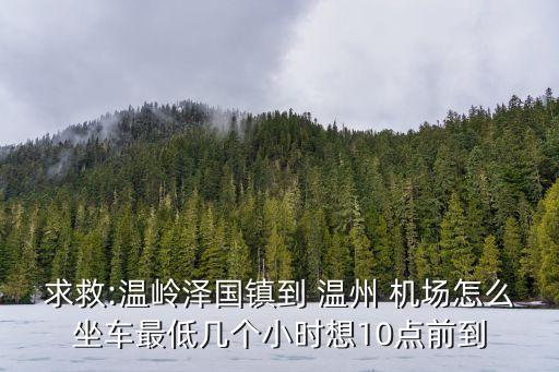 求救:温岭泽国镇到 温州 机场怎么坐车最低几个小时想10点前到