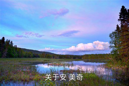 武汉美奇国际开盘价