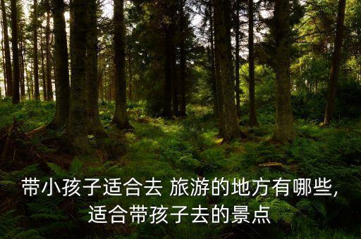 带小孩子适合去 旅游的地方有哪些,适合带孩子去的景点