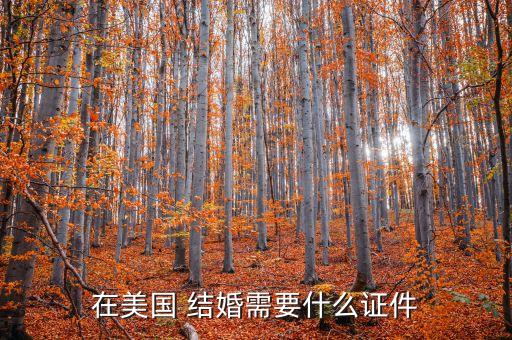 国外结婚需要户口吗,结婚国外度蜜月适合去哪里