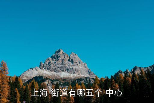 上海 街道有哪五个 中心