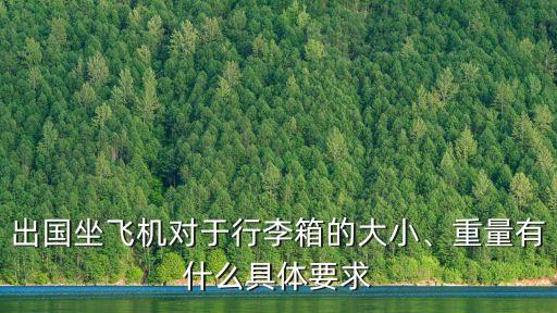 32寸皮箱去国外可以托运吗