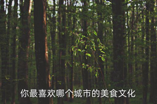 你最喜欢哪个城市的美食文化