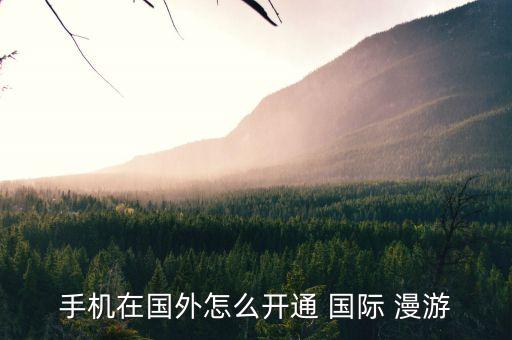 手机在国外怎么开通 国际 漫游