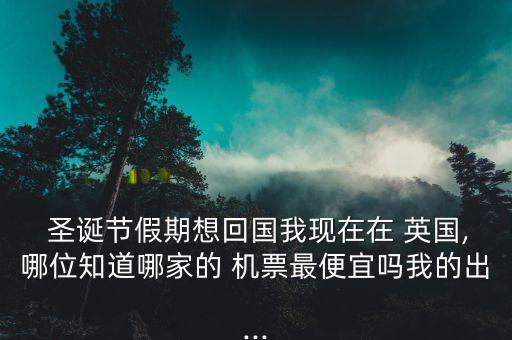 圣诞节过后 英国国际机票缩水