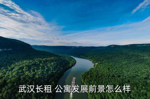 武汉长租 公寓发展前景怎么样