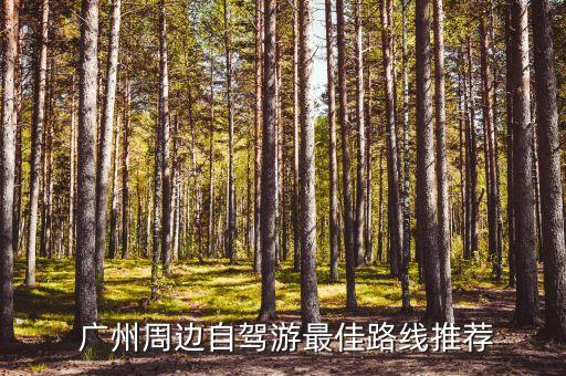  广州周边自驾游最佳路线推荐