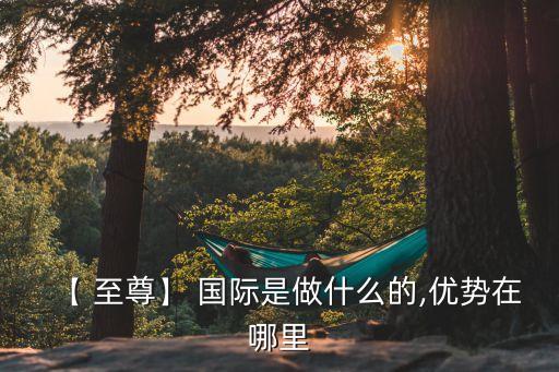 【 至尊】 国际是做什么的,优势在哪里