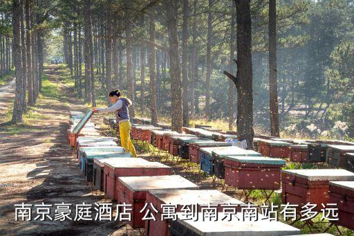 京隆国际公寓二手房,夫子庙京隆国际公寓怎么样