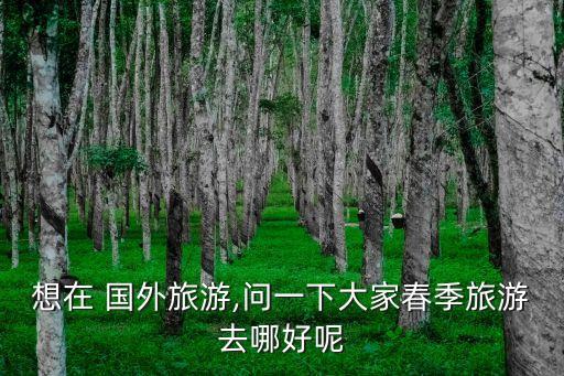 想在 国外旅游,问一下大家春季旅游去哪好呢