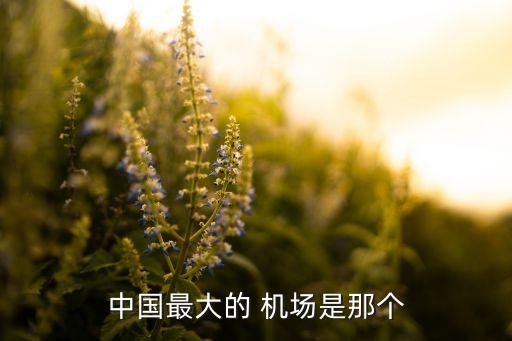 中国最大的 机场是那个