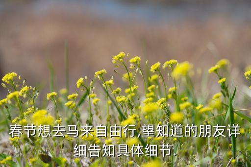 春节想去马来自由行,望知道的朋友详细告知具体细节.