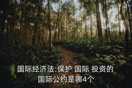 国际投资争端解决办法,投资决策失误的解决办法