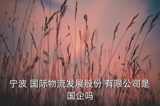 宁波 国际物流发展股份 有限公司是国企吗