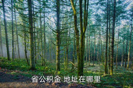 省公积金 地址在哪里