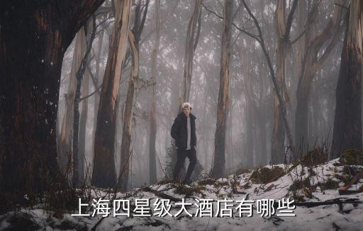 上海国际机场宾馆是几星,长春龙嘉国际机场宾馆