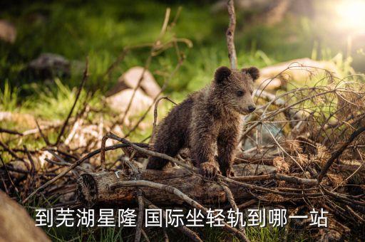新加坡兴隆国际